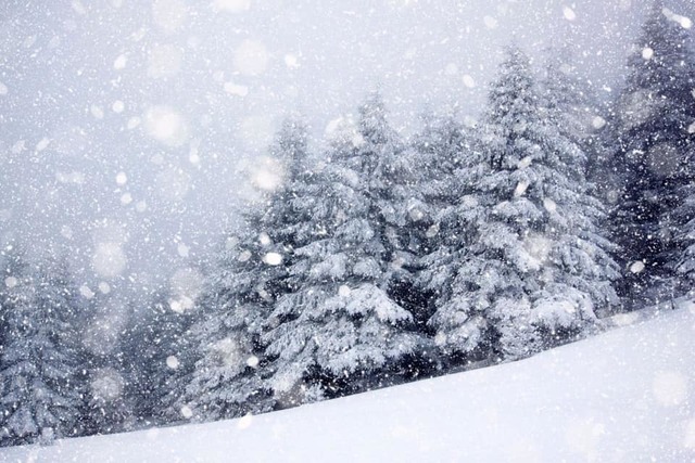 ATTENZIONE! Allerta arancione Neve e allerta gialla Ghiaccio